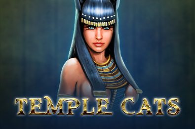 Temple Cats